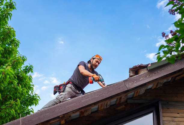 Best Metal Roofing Installation  in Cordova, AL