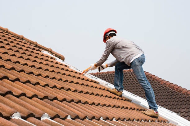 Best Wood Shake Roofing  in Cordova, AL